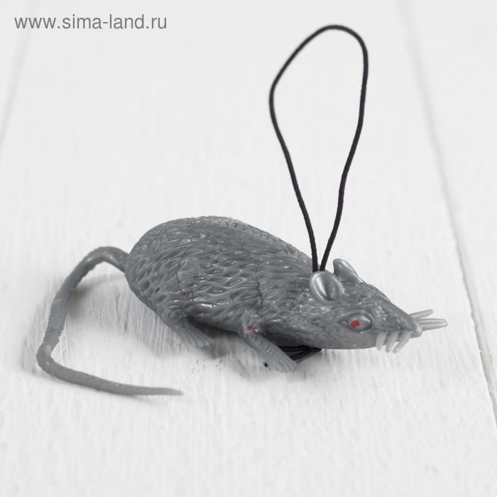 Прикол «Мышь», резиновая, цвет серый
Прикол «Мышь», резиновая, цвет серый