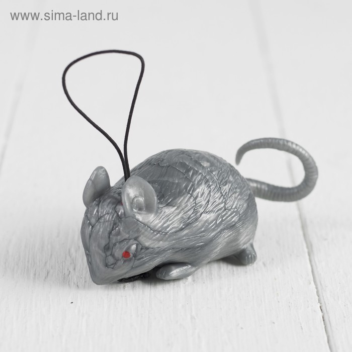 Прикол «Мышь», резиновая, цвет серый
Прикол «Мышь», резиновая, цвет серый