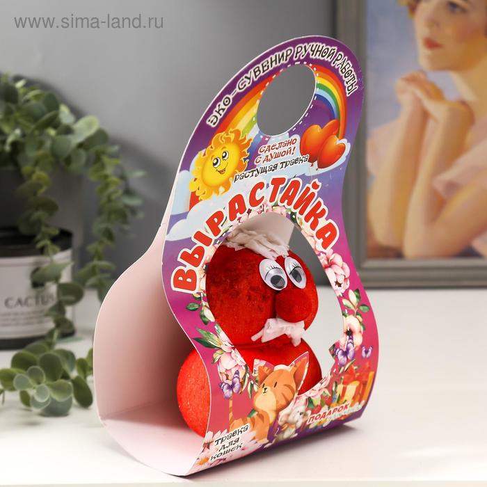 Растущая травка Вырастайка "Старичок-Боровичок" МИКС
Растущая травка Вырастайка "Старичок-Боровичок" МИКС