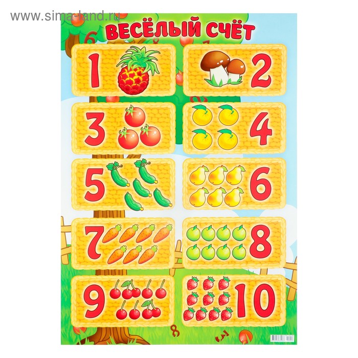 Плакат "Весёлый счёт" А2
Плакат "Весёлый счёт" А2