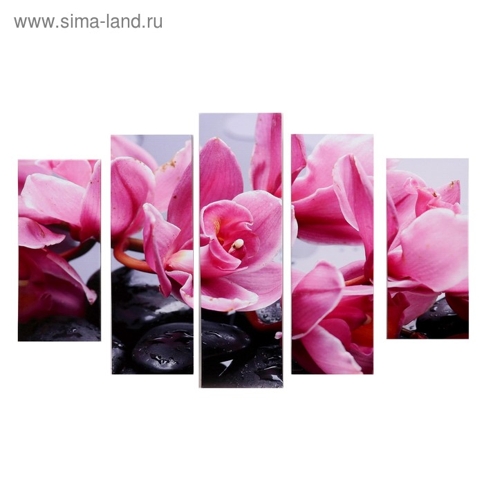 Модульная картина "Розовые орхидеи" (2-23х52; 2-24х70; 1-24х80) 120х80см
Модульная картина "Розовые орхидеи" (2-23х52; 2-24х70; 1-24х80) 120х80см