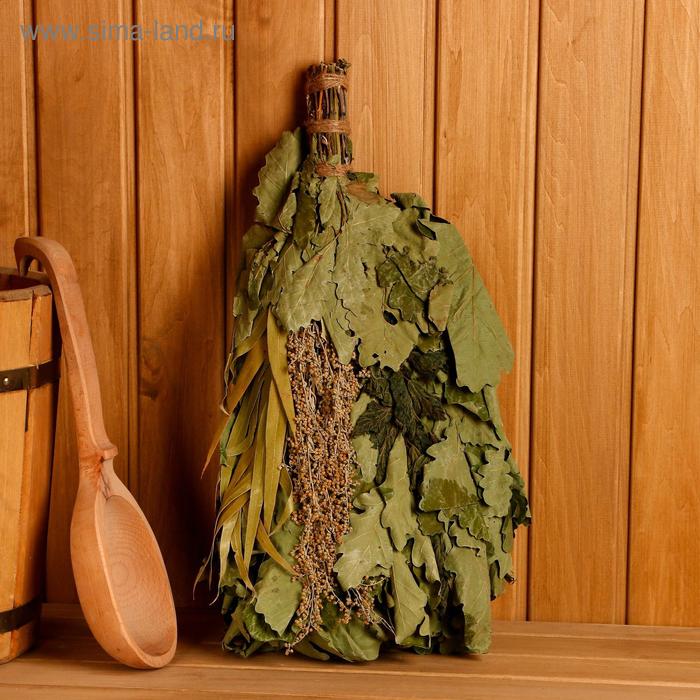 Веник для бани "Спортивный" из полыни и крапивы, в индивидуальной упаковке
Веник для бани "Спортивный" из полыни и крапивы, в индивидуальной упаковке