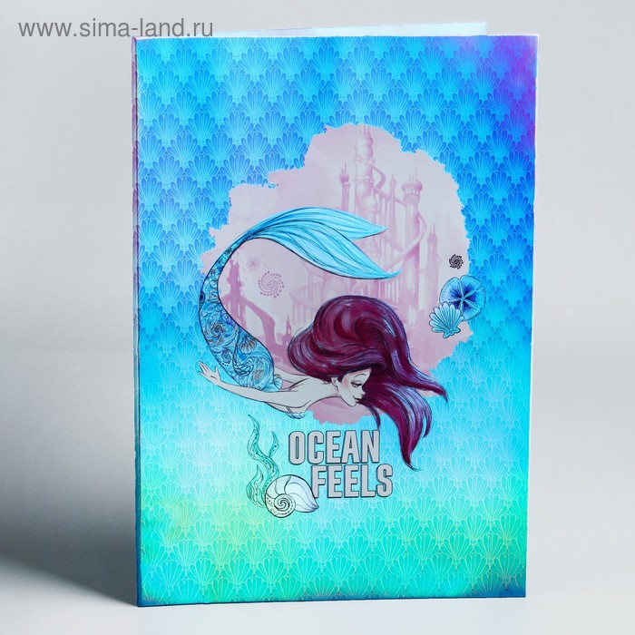 Папка для документов, Принцессы Дисней 
Папка для документов, Принцессы Дисней