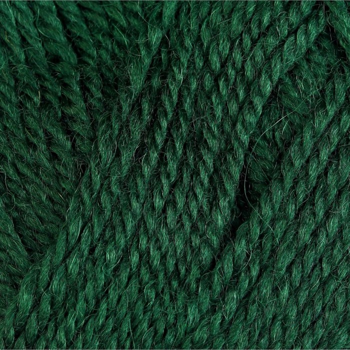 Пряжа "Бамбино" 35% шерсть меринос, 65% акрил 150м/50гр (110 зеленый)
Пряжа "Бамбино" 35% шерсть меринос, 65% акрил 150м/50гр (110 зеленый)