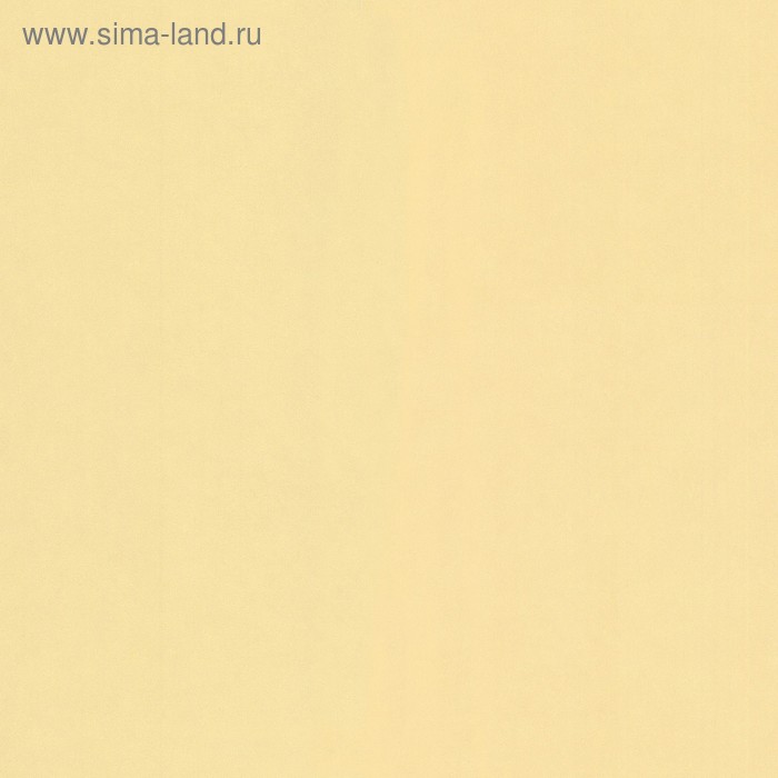 Обои компакт-винил МИР 45-230-02 Bravo 1,06х10м
Обои компакт-винил МИР 45-230-02 Bravo 1,06х10м