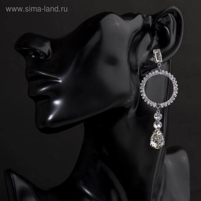Серьги висячие со стразами "Мурена" круг, цвет белый в серебре
Серьги висячие со стразами "Мурена" круг, цвет белый в серебре