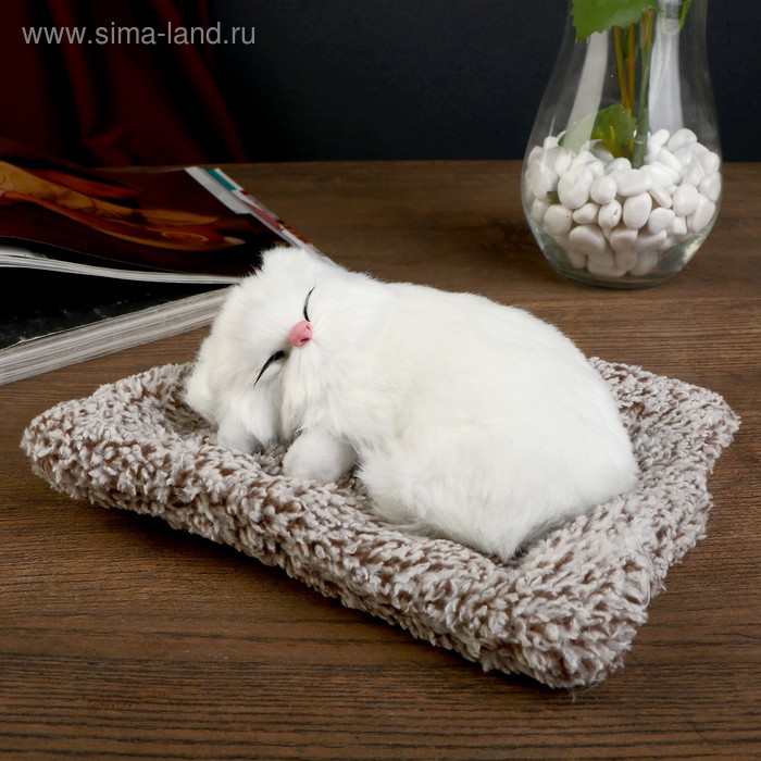 Пушистик "Котейка на подушке" 7х18х15 см, МИКС
Пушистик "Котейка на подушке" 7х18х15 см, МИКС