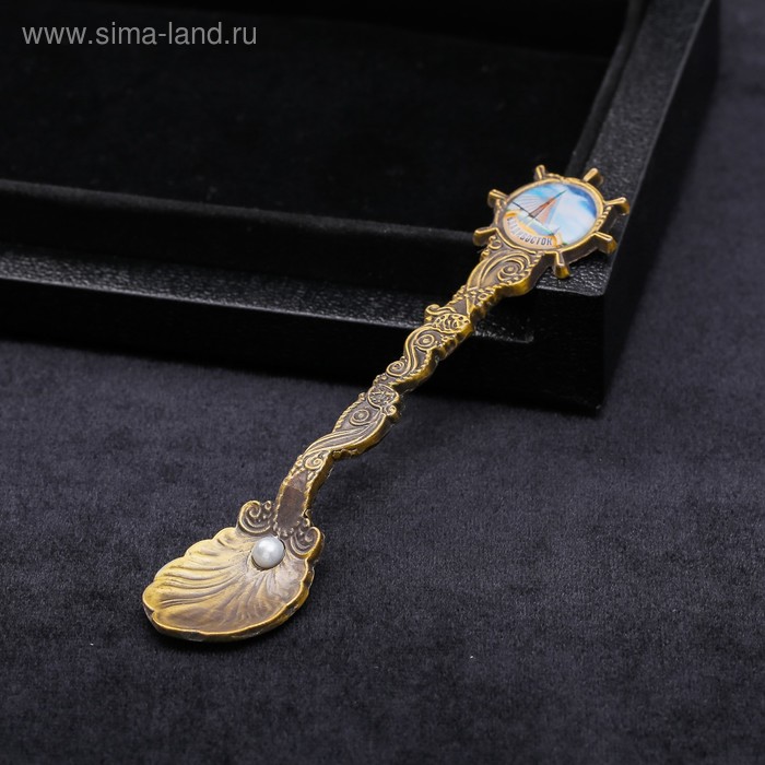 Ложка в морской форме «Владивосток. Русский Мост»
Ложка в морской форме «Владивосток. Русский Мост»