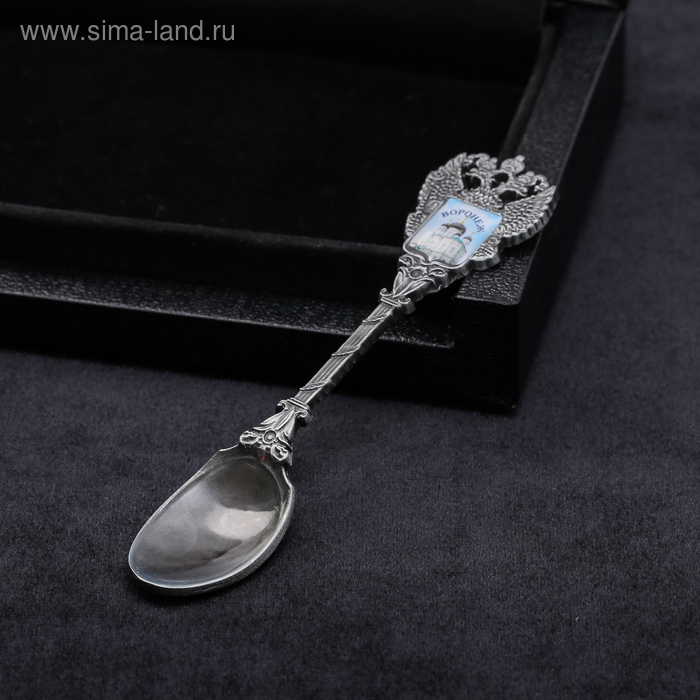 Ложка сувенирная «Воронеж. Благовещенский собор», металл
Ложка сувенирная «Воронеж. Благовещенский собор», металл