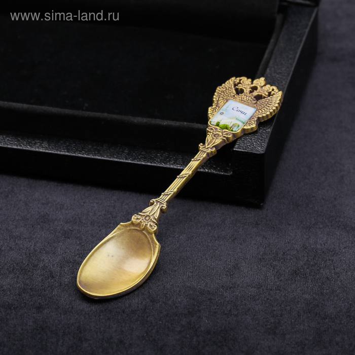 фото Ложка в форме герба «сочи. жд вокзал»