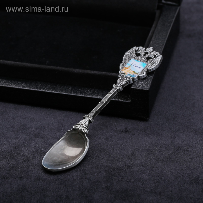 фото Ложка в форме герба «сочи. морской порт»