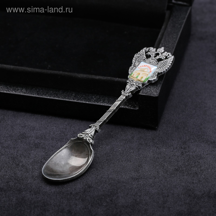 фото Ложка в форме герба «ставрополь. арка»