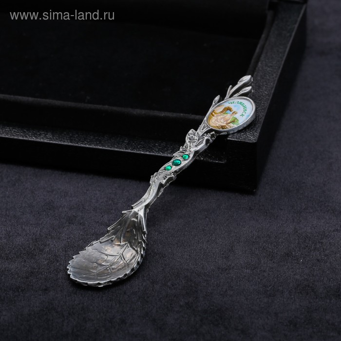 Ложка в уральской форме «Челябинск. Верблюд»
Ложка в уральской форме «Челябинск. Верблюд»