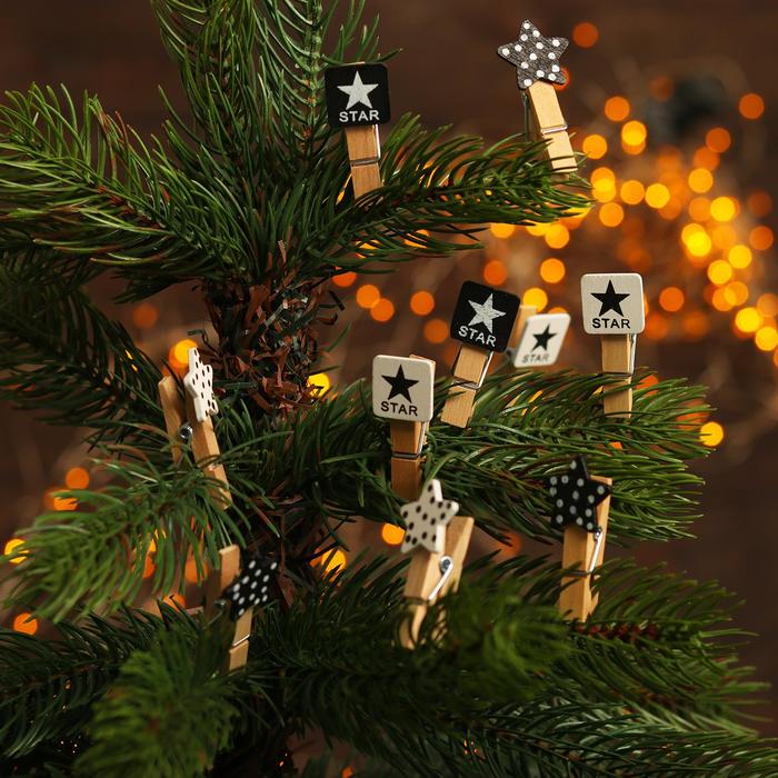 Набор декоративных прищепок «Звёзды» набор 10 шт.
Набор декоративных прищепок «Звёзды» набор 10 шт.