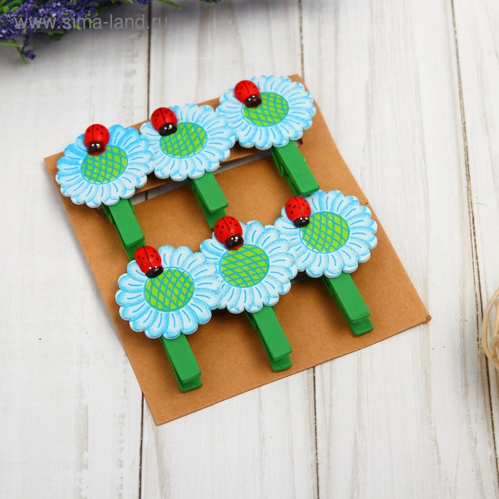 Набор декоративных прищепок «Божья коровка на цветке» набор 6 шт.
Набор декоративных прищепок «Божья коровка на цветке» набор 6 шт.