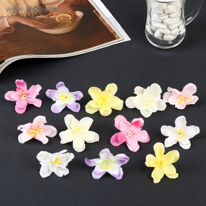 Декор для творчества "Цветок на ножке" набор 12 шт МИКС 2х5,5х5,5 см
Декор для творчества "Цветок на ножке" набор 12 шт МИКС 2х5,5х5,5 см