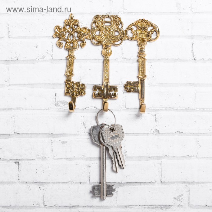 Ключница "3 ключа", 10 х 8 см, латунь
Ключница "3 ключа", 10 х 8 см, латунь