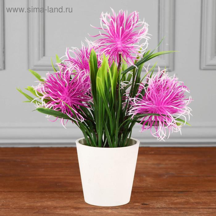 Бонсай в горшке "Осока и шарики" 9*24 см, микс
Бонсай в горшке "Осока и шарики" 9*24 см, микс