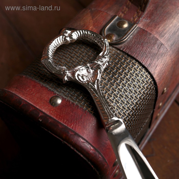 фото Ложка для обуви "кольцо" алюминий 25х5х1 см