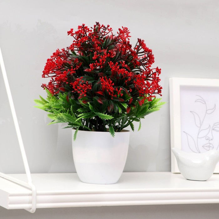 Бонсай в горшке "Пижма цветущая" 9*22 см, микс
Бонсай в горшке "Пижма цветущая" 9*22 см, микс