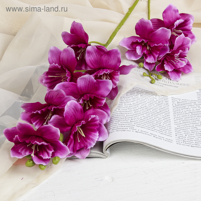 Цветы искусственные "Дельфиниум волнистый" 7,5*82 см, фиолетовый
Цветы искусственные "Дельфиниум волнистый" 7,5*82 см, фиолетовый