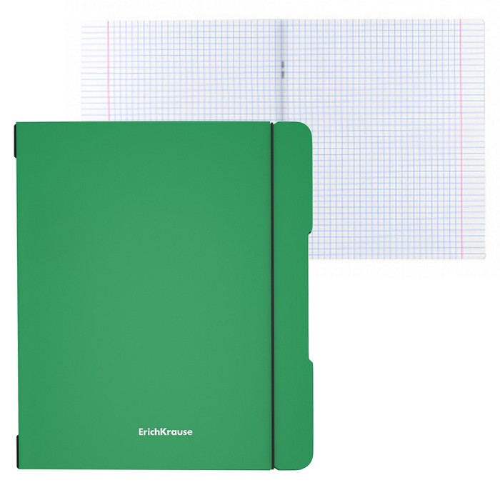 Тетрадь А5+, 48 листов в клетку ErichKrause "FolderBook", съёмная пластиковая обложка, на резинках, блок офсет, белизна 100%, зелёная
Тетрадь А5+, 48 листов в клетку ErichKrause "FolderBook", съёмная пластиковая обложка, на резинках, блок офсет, белизна 100%, зелёная