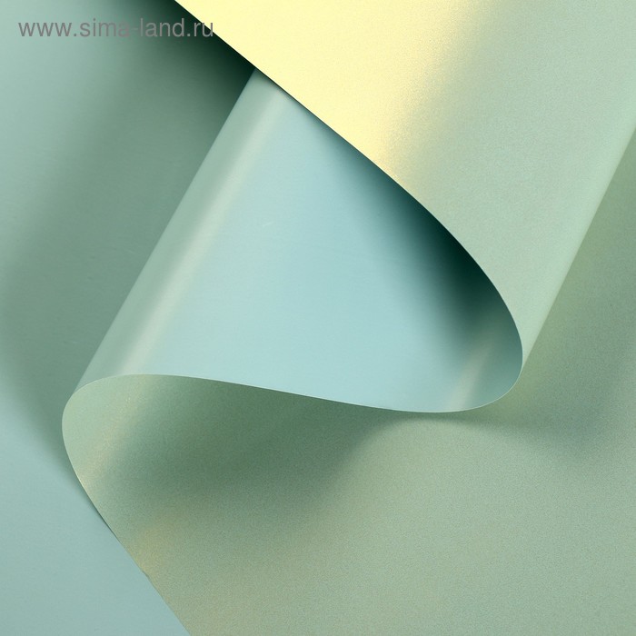 Пленка для цветов перламутровая «Бархат», мятный, 0,5 х 10 м
Пленка для цветов перламутровая «Бархат», мятный, 0,5 х 10 м