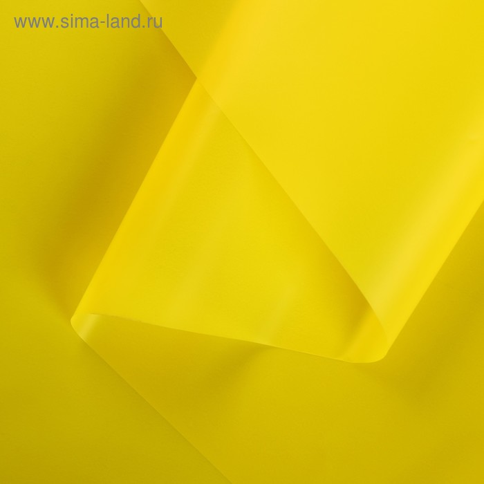 Пленка для цветов матовая «Велюр», лимонный, 0,5 х 10 м
Пленка для цветов матовая «Велюр», лимонный, 0,5 х 10 м