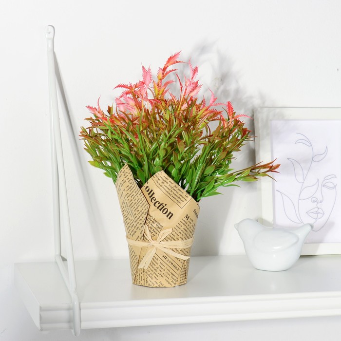 Композиция "Остролист" 7*17 см, микс
Композиция "Остролист" 7*17 см, микс