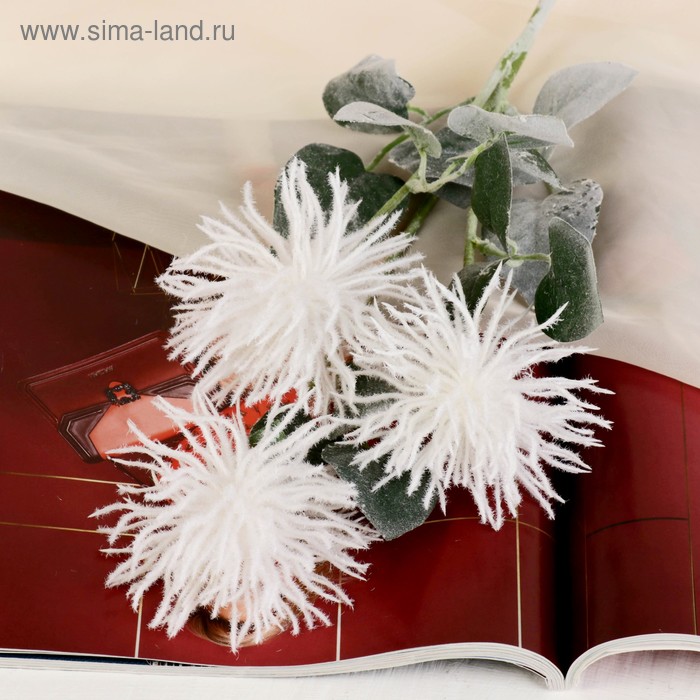 Цветы искусственные "Астра Комета" 7*53 см, белый
Цветы искусственные "Астра Комета" 7*53 см, белый