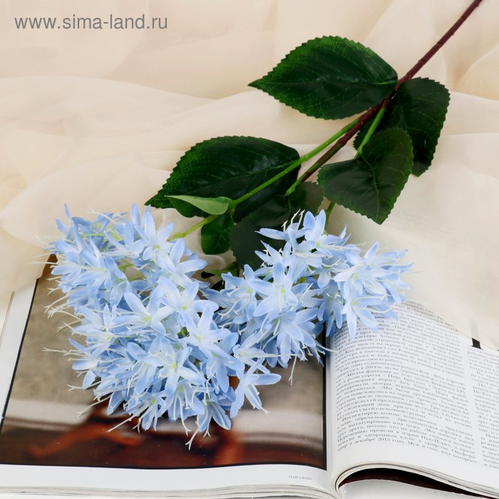 Цветы искусственные "Сирень Элинор" 4*65 см, голубой
Цветы искусственные "Сирень Элинор" 4*65 см, голубой