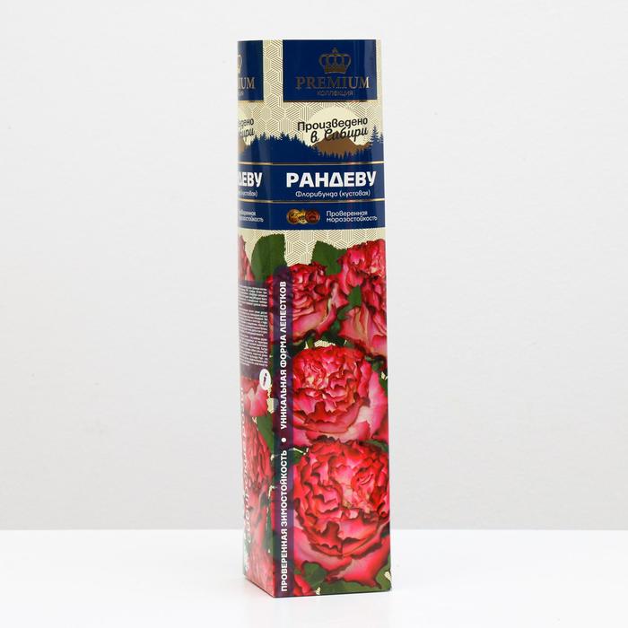 Саженец розы Рандеву Серия "Премиум", 1 шт
Саженец розы Рандеву Серия "Премиум", 1 шт