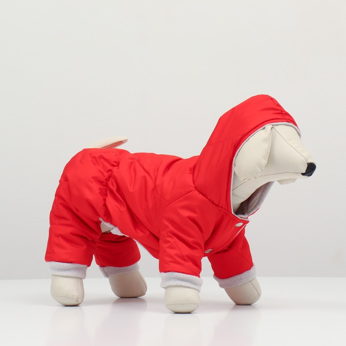 Комбинезон зимний для животных, 3XL (ДС 33-35, ОШ 35-37, ОГ 44-48 см), красный
Комбинезон зимний для животных, 3XL (ДС 33-35, ОШ 35-37, ОГ 44-48 см), красный