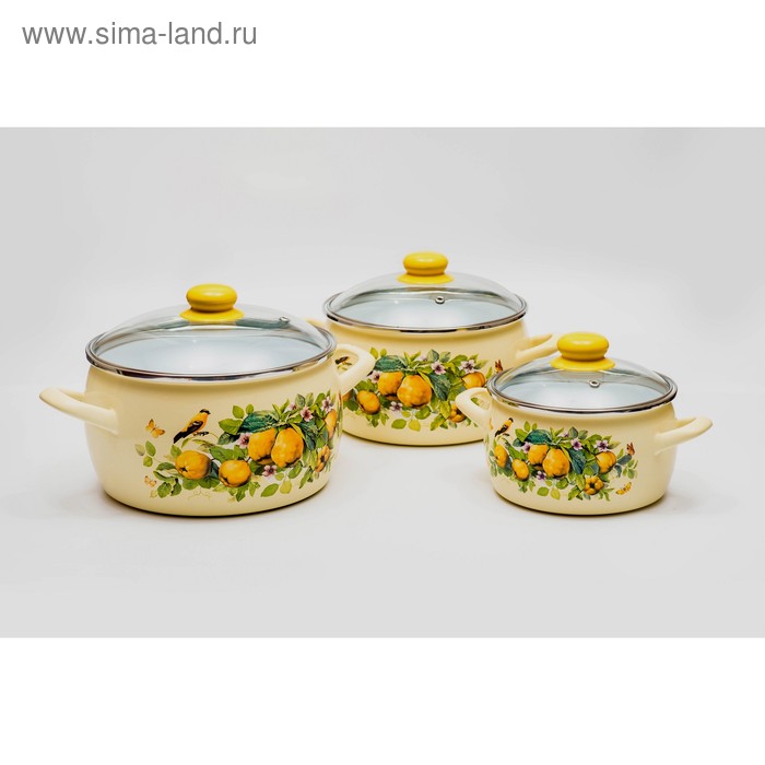 Набор посуды «Айва», 2.2/4/5.3 л, 6 предметов
Набор посуды «Айва», 2.2/4/5.3 л, 6 предметов