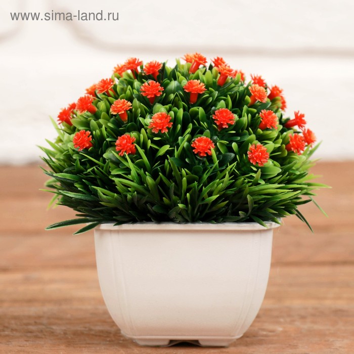 Бонсай в горшке "Мелкие цветочки" 8*11 см, микс
Бонсай в горшке "Мелкие цветочки" 8*11 см, микс