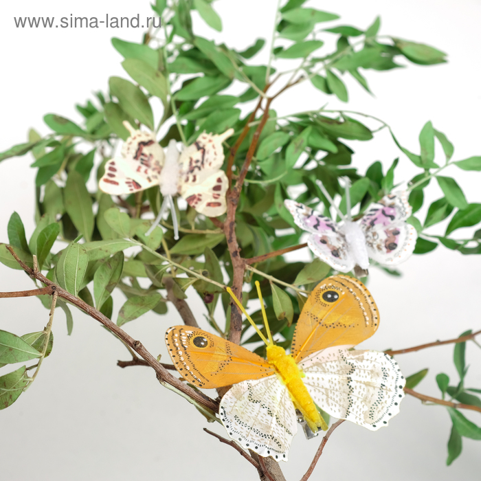 Бабочка для декора и флористики, на прищепке, пластиковая, микс, 1 шт., 5 см и 8 см
Бабочка для декора и флористики, на прищепке, пластиковая, микс, 1 шт., 5 см и 8 см