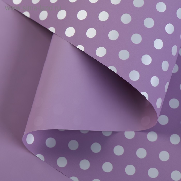 Пленка перламутровая, двусторонняя, горохи на сиреневом, 0,5 х 10 м
Пленка перламутровая, двусторонняя, горохи на сиреневом, 0,5 х 10 м