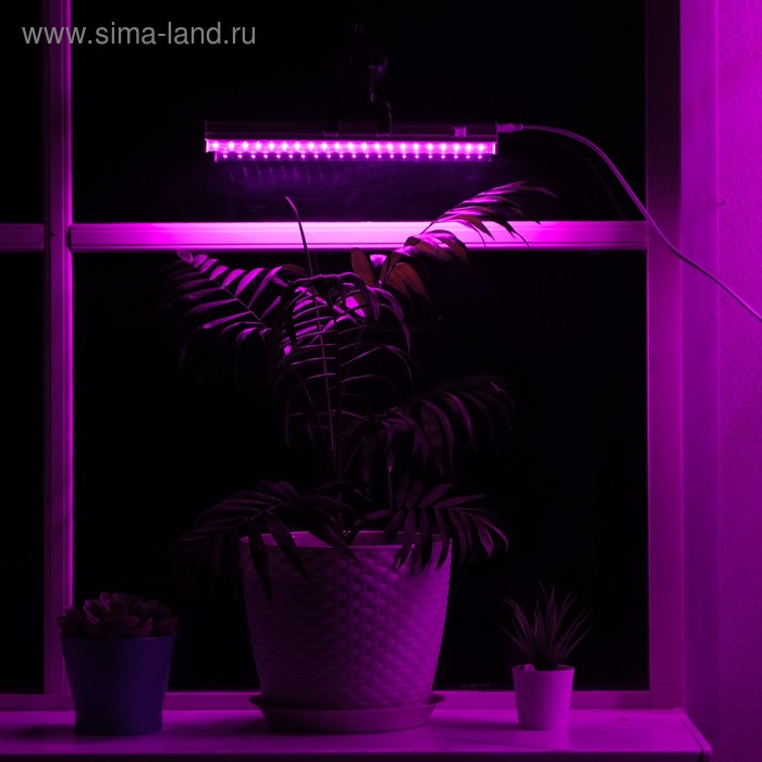 Фитосветильник светодиодный, 6 Вт, 300 мм, IP20, 220 В, мультиспектральный, с присоской
Фитосветильник светодиодный, 6 Вт, 300 мм, IP20, 220 В, мультиспектральный, с присоской