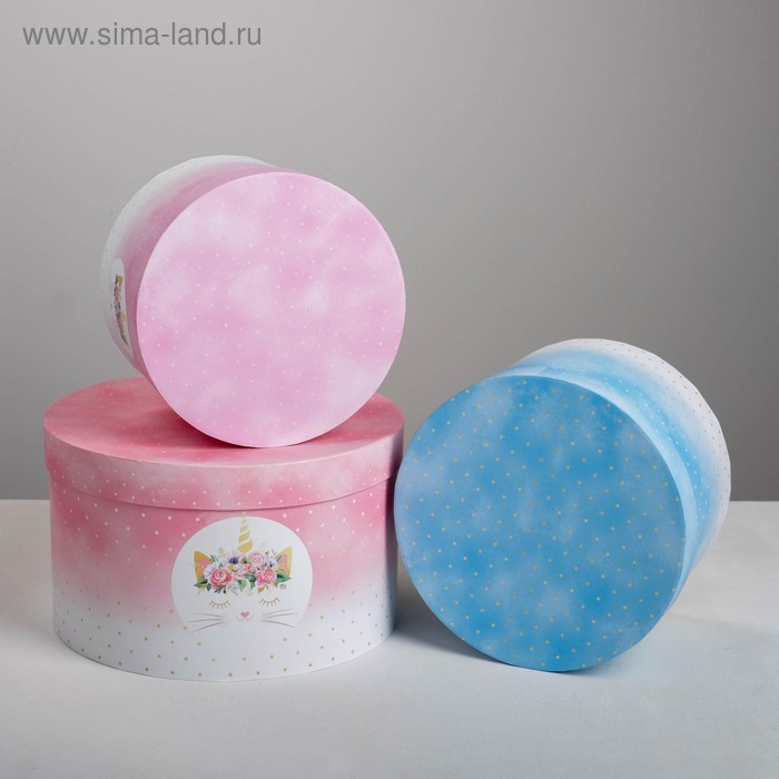 Набор подарочных коробок 3 в 1 «Котоединорог», 18 × 18 × 13‒25 × 25 × 15 см
Набор подарочных коробок 3 в 1 «Котоединорог», 18 × 18 × 13‒25 × 25 × 15 см