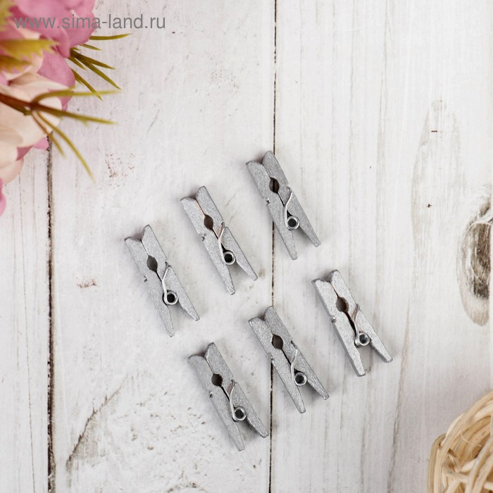 Набор декоративных мини-прищепок "Рукоделие" 18 шт, серебро 
Набор декоративных мини-прищепок "Рукоделие" 18 шт, серебро
