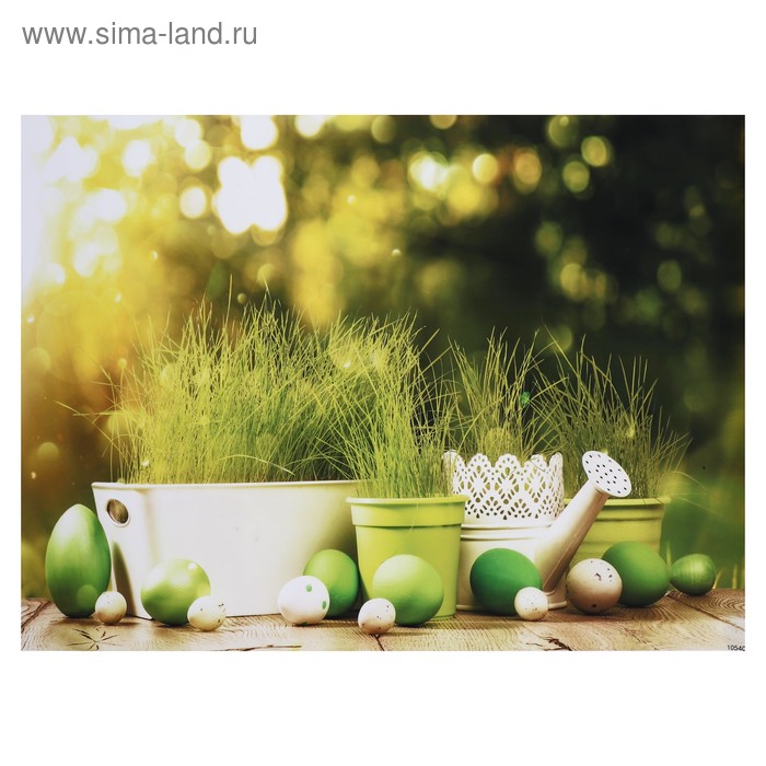 Фотофон винил "Крашенные яйца и горшочки с травой" 80х125 см 
Фотофон винил "Крашенные яйца и горшочки с травой" 80х125 см