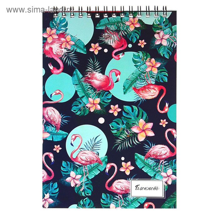 Блокнот А5, 40 листов в клетку на гребне «Фламинго», обложка мелованный картон
Блокнот А5, 40 листов в клетку на гребне «Фламинго», обложка мелованный картон