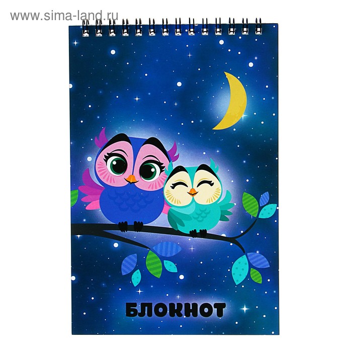 Блокнот А5, 40 листов в клетку на гребне «Совушки», обложка мелованный картон
Блокнот А5, 40 листов в клетку на гребне «Совушки», обложка мелованный картон