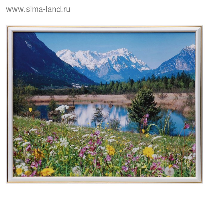 Картина "Поляна в горах" 43х53 см
Картина "Поляна в горах" 43х53 см