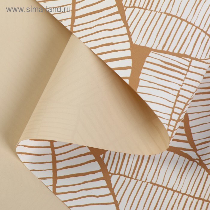 Пленка матовая для цветов "Мирт",бежевый, 60 см х 5 м
Пленка матовая для цветов "Мирт",бежевый, 60 см х 5 м