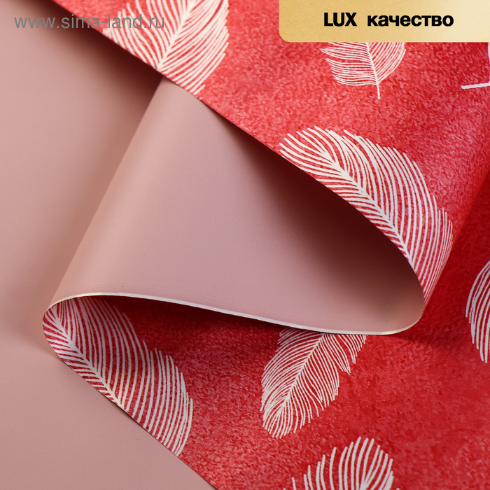 Пленка матовая для цветов "Дафна",нежно розовый, 57 см х 5 м
Пленка матовая для цветов "Дафна",нежно розовый, 57 см х 5 м