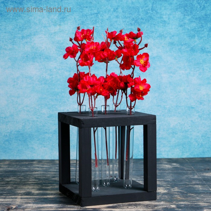 Кашпо деревянное 15.5×15.5×16.5 см с 5 колбами "Квадрат", чёрный
Кашпо деревянное 15.5×15.5×16.5 см с 5 колбами "Квадрат", чёрный