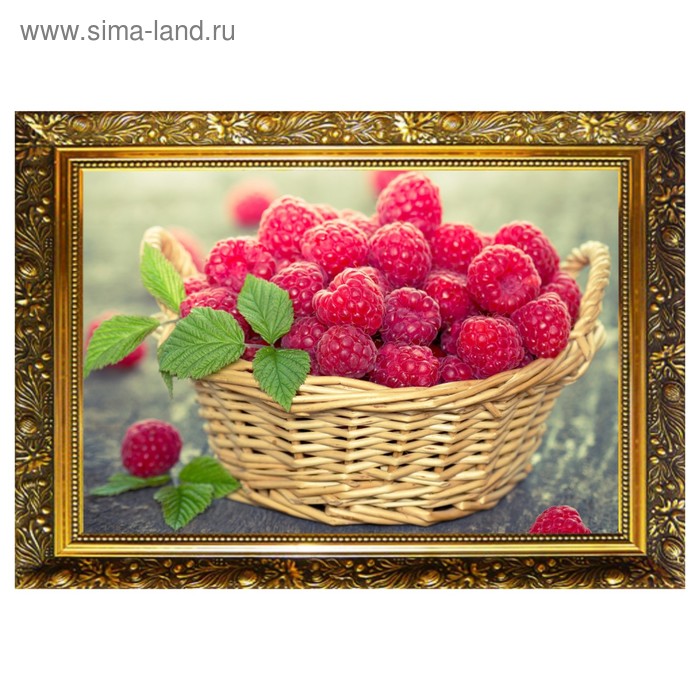 Алмазная мозаика «Малиновая радость» 29,5×20,5 см, 25 цветов
Алмазная мозаика «Малиновая радость» 29,5×20,5 см, 25 цветов