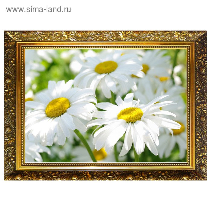 Алмазная мозаика «Ромашки» 29,5×20,5 см, 25 цветов
Алмазная мозаика «Ромашки» 29,5×20,5 см, 25 цветов