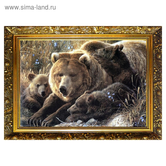 Алмазная мозаика «Семейство косолапых» 29,5×20,5 см, 25 цветов
Алмазная мозаика «Семейство косолапых» 29,5×20,5 см, 25 цветов